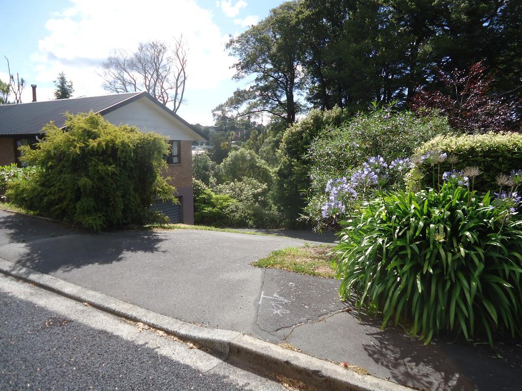 Wakari Holiday Home Dunedin Exterior photo